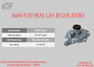 Illustration for article titled Igt Gas Safety Device Price | Igt Gas Regulator | LPG